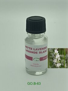 Witte Lavendel 