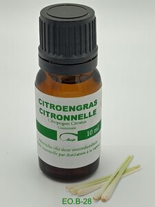Citroengras